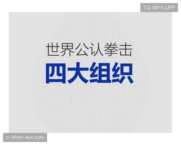 国际拳击联盟建立退役选手支持基金，国际拳击理事会